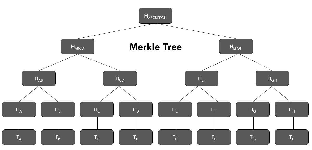 merkle tree